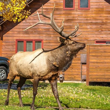 Rams Horn Village Resort Estes Park Exterior foto