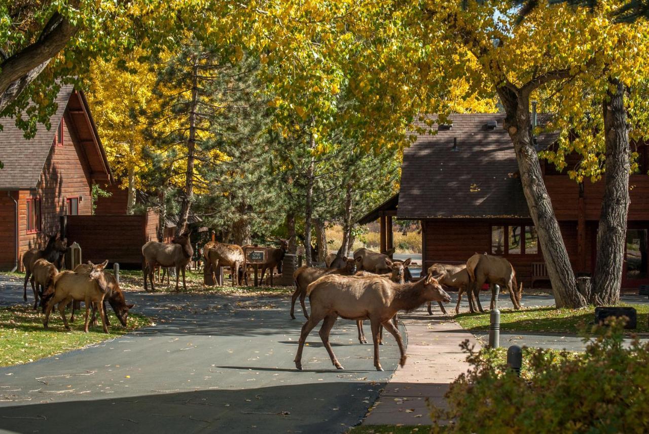Rams Horn Village Resort Estes Park Exterior foto